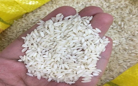 تصویر 4 از قیمت خرید برنج ایرانی شمال با فروش عمده